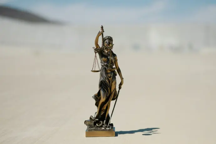 Legal Consultation Services